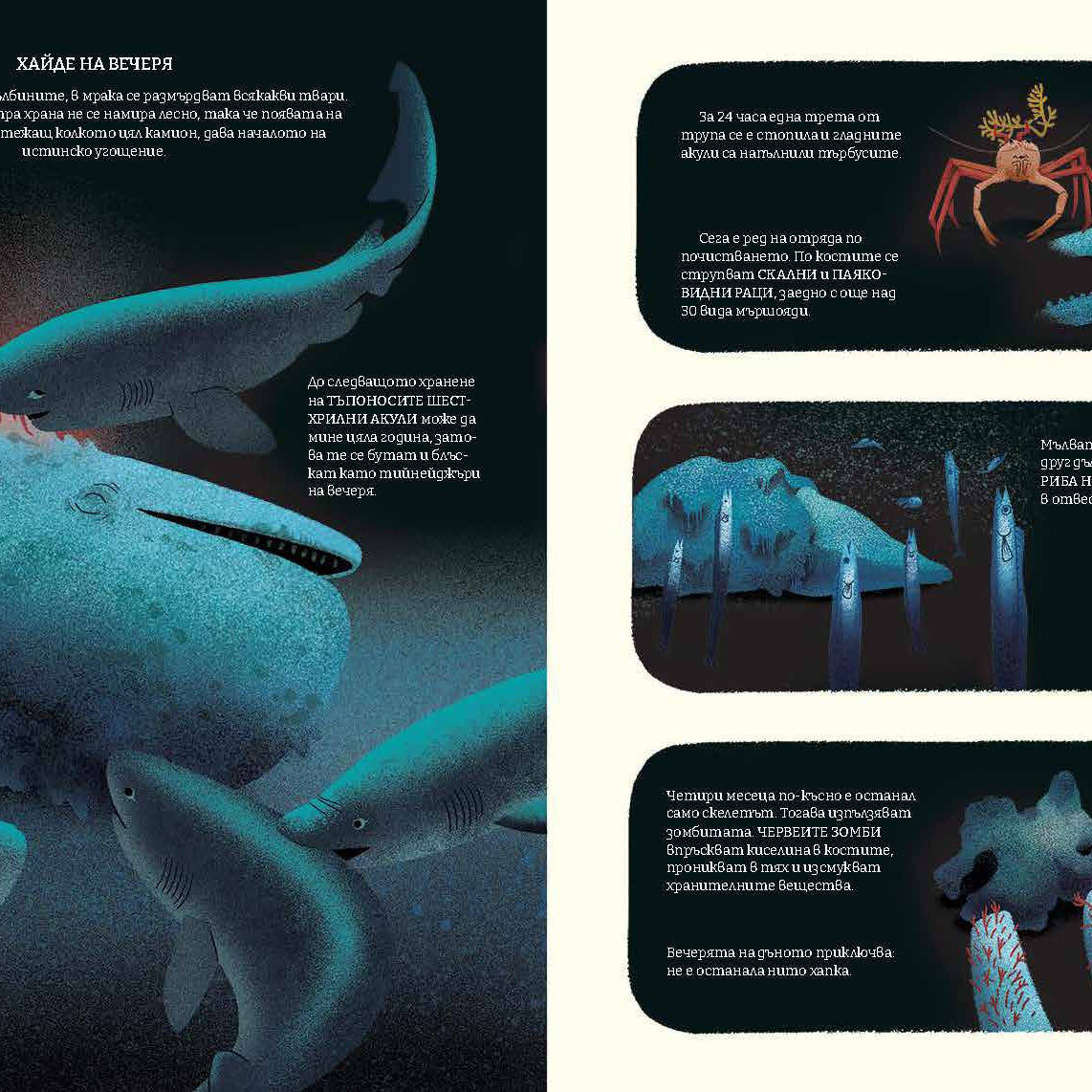 Синята планета II