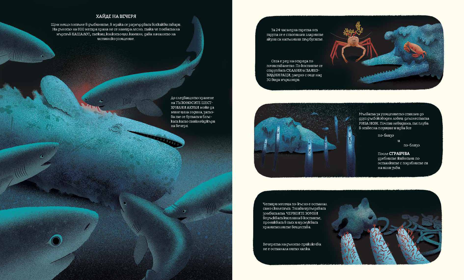 Синята планета II