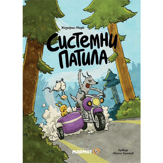Системни патила