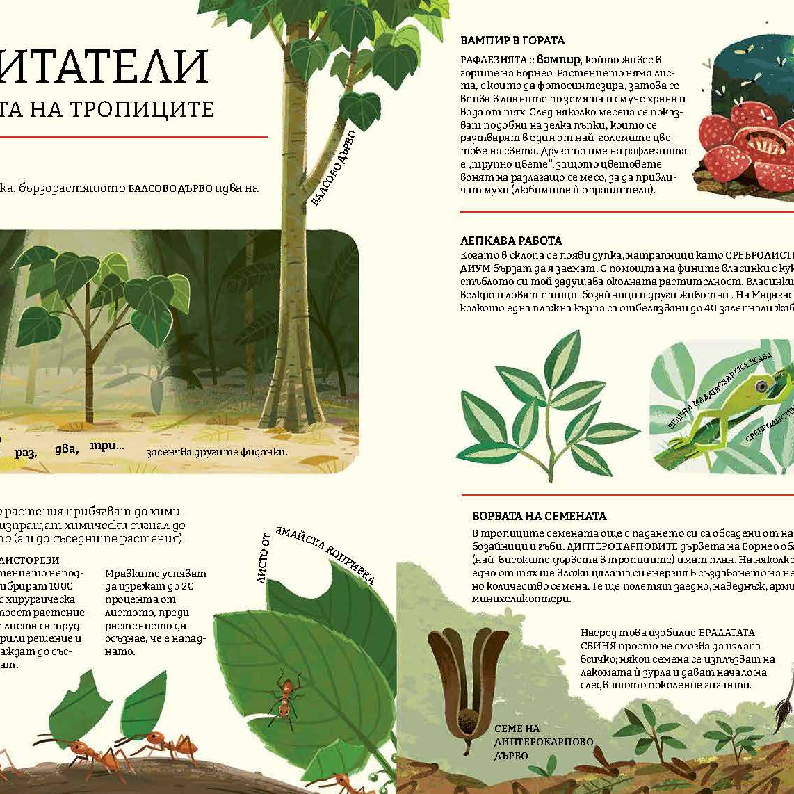 Зелената планета