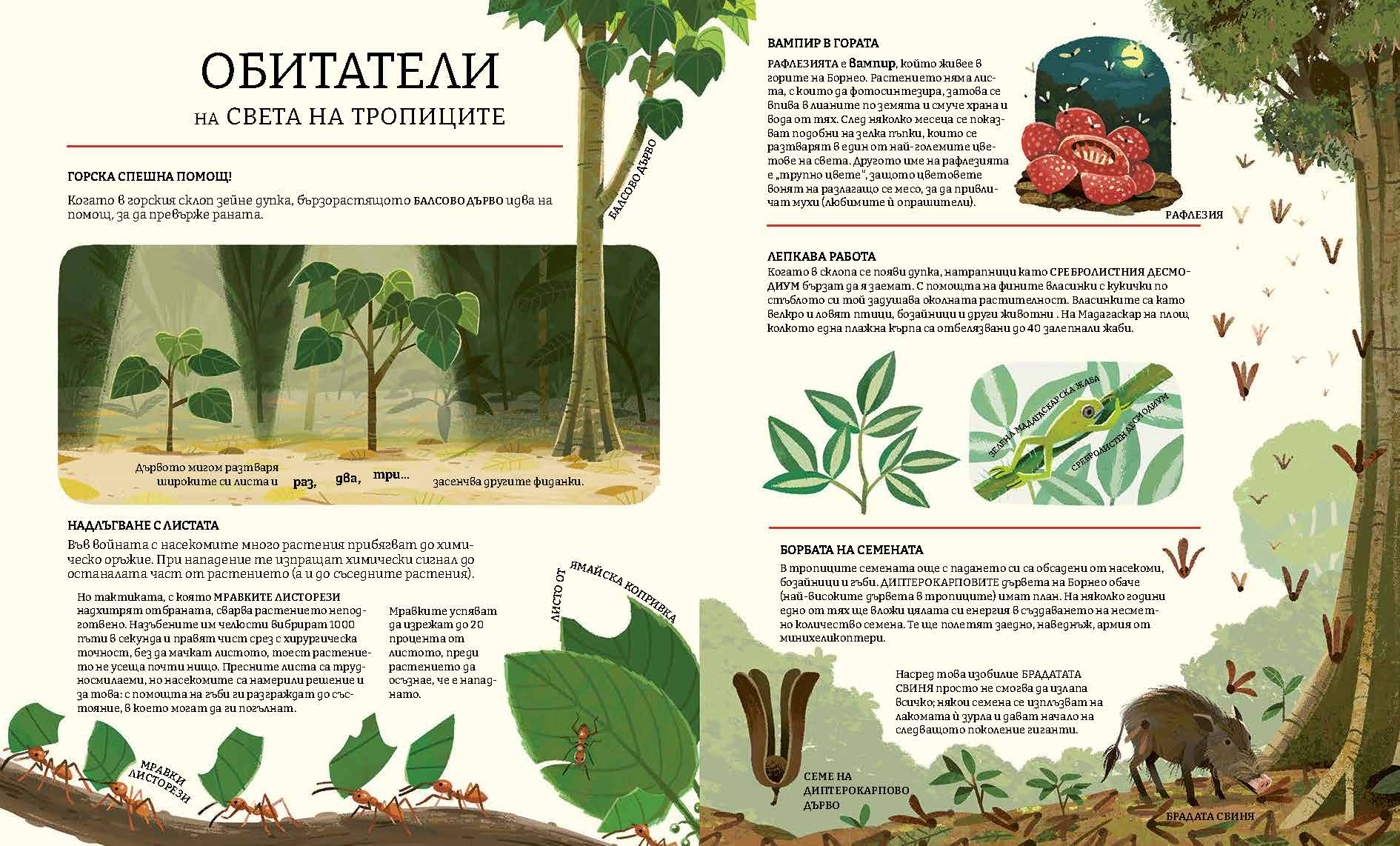 Зелената планета