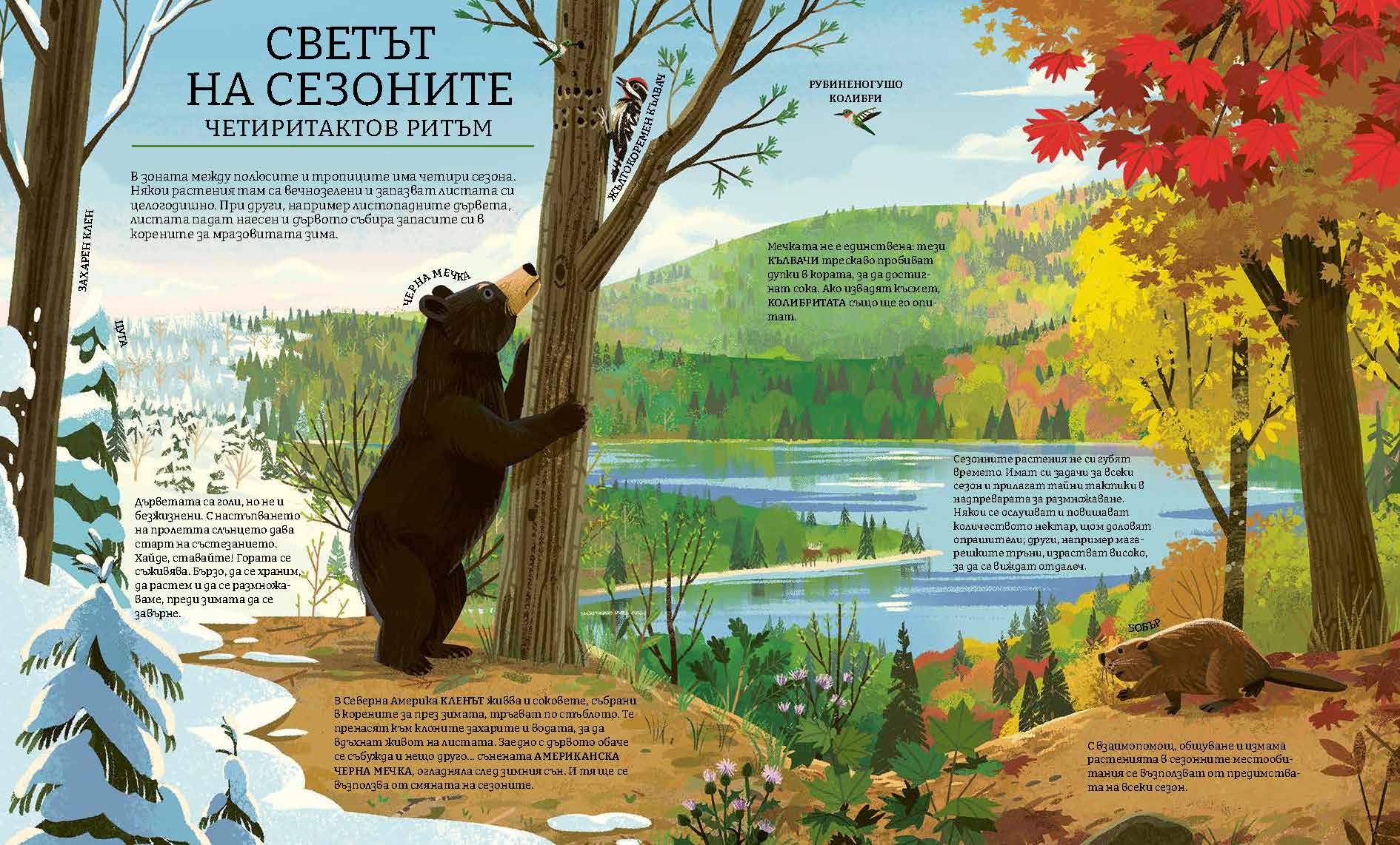 Зелената планета