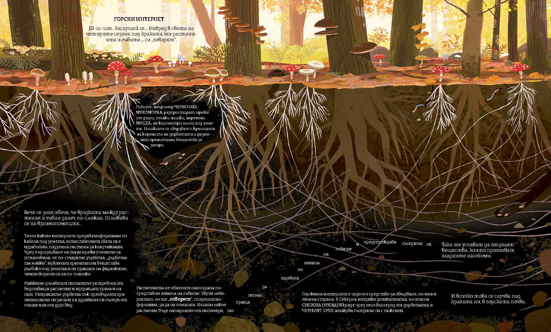 Зелената планета