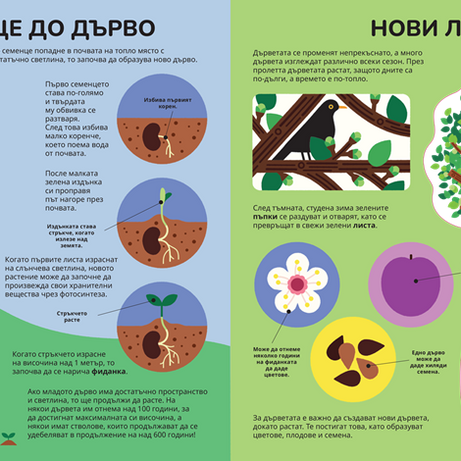 Комплект енциклопедии