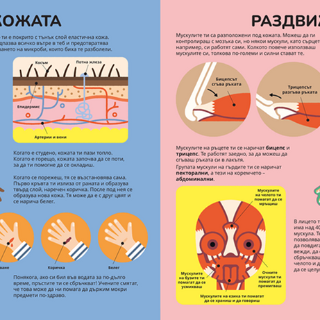 Комплект енциклопедии