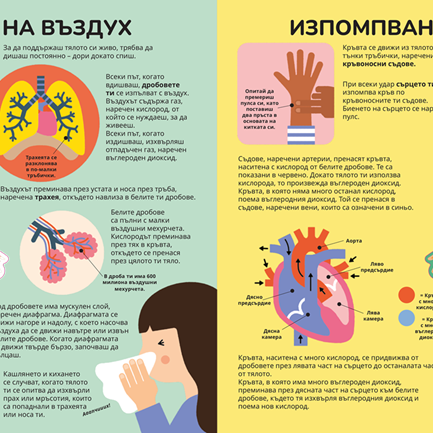 Книга за тялото| Никола Кереков | Издателство Мармот