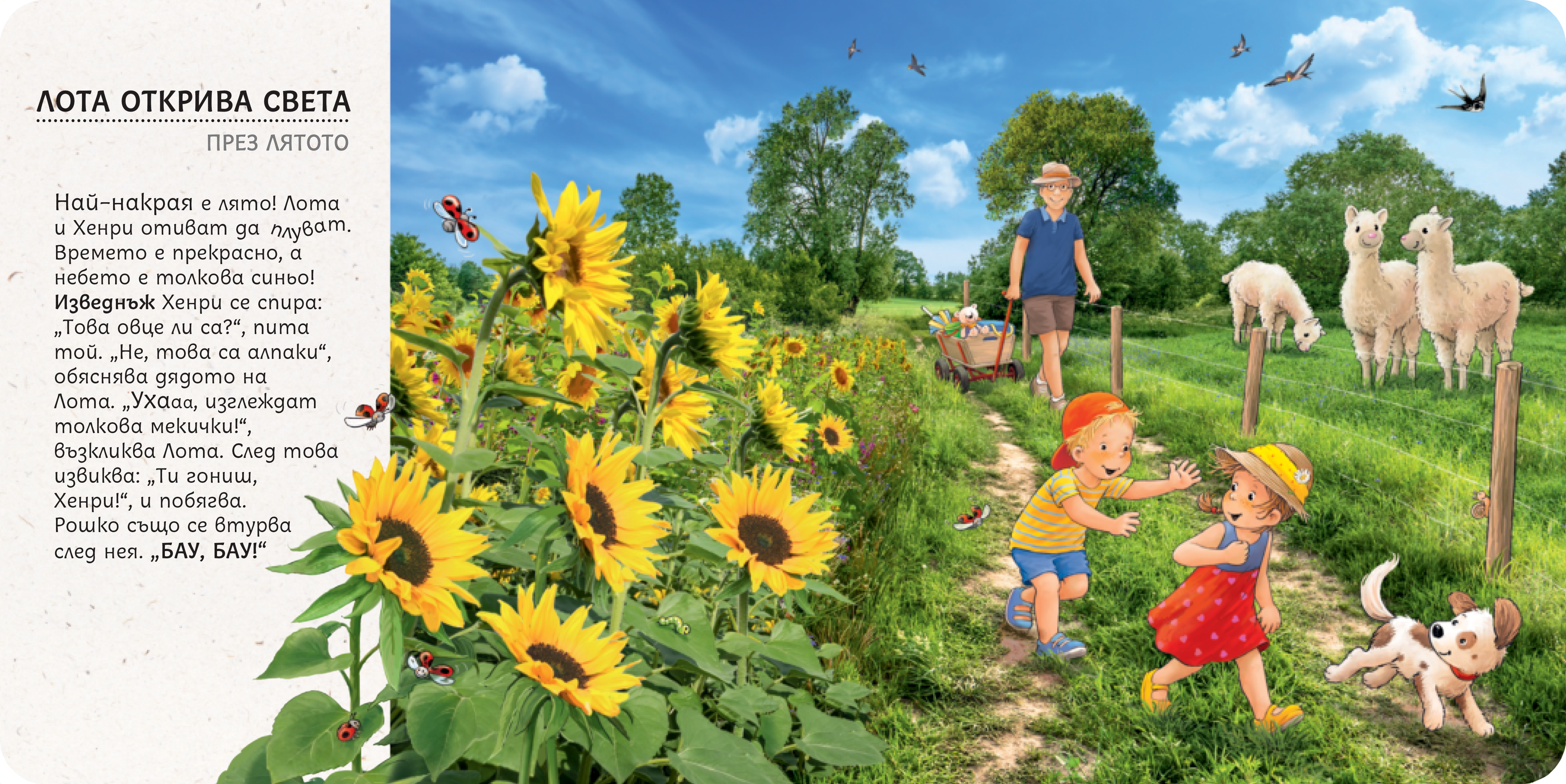 Лота открива света – комплект