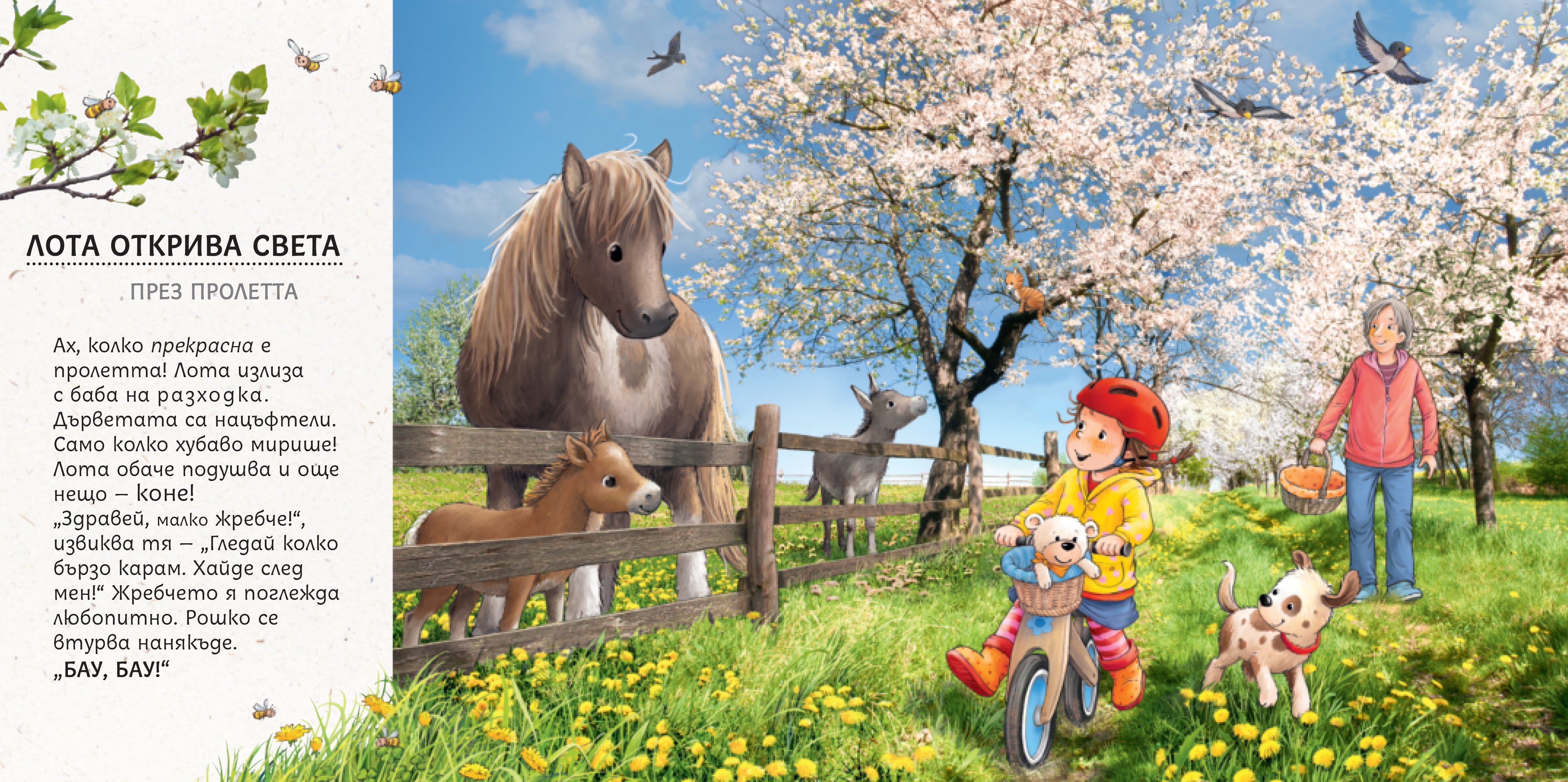 Лота открива света – комплект