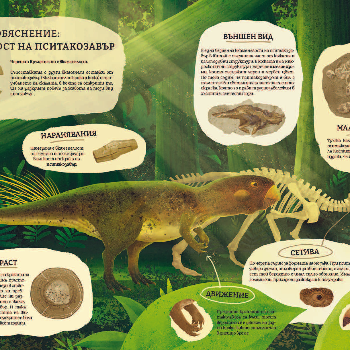 Миналото: Илюстрирано пътешествие в изгубените светове на Земята