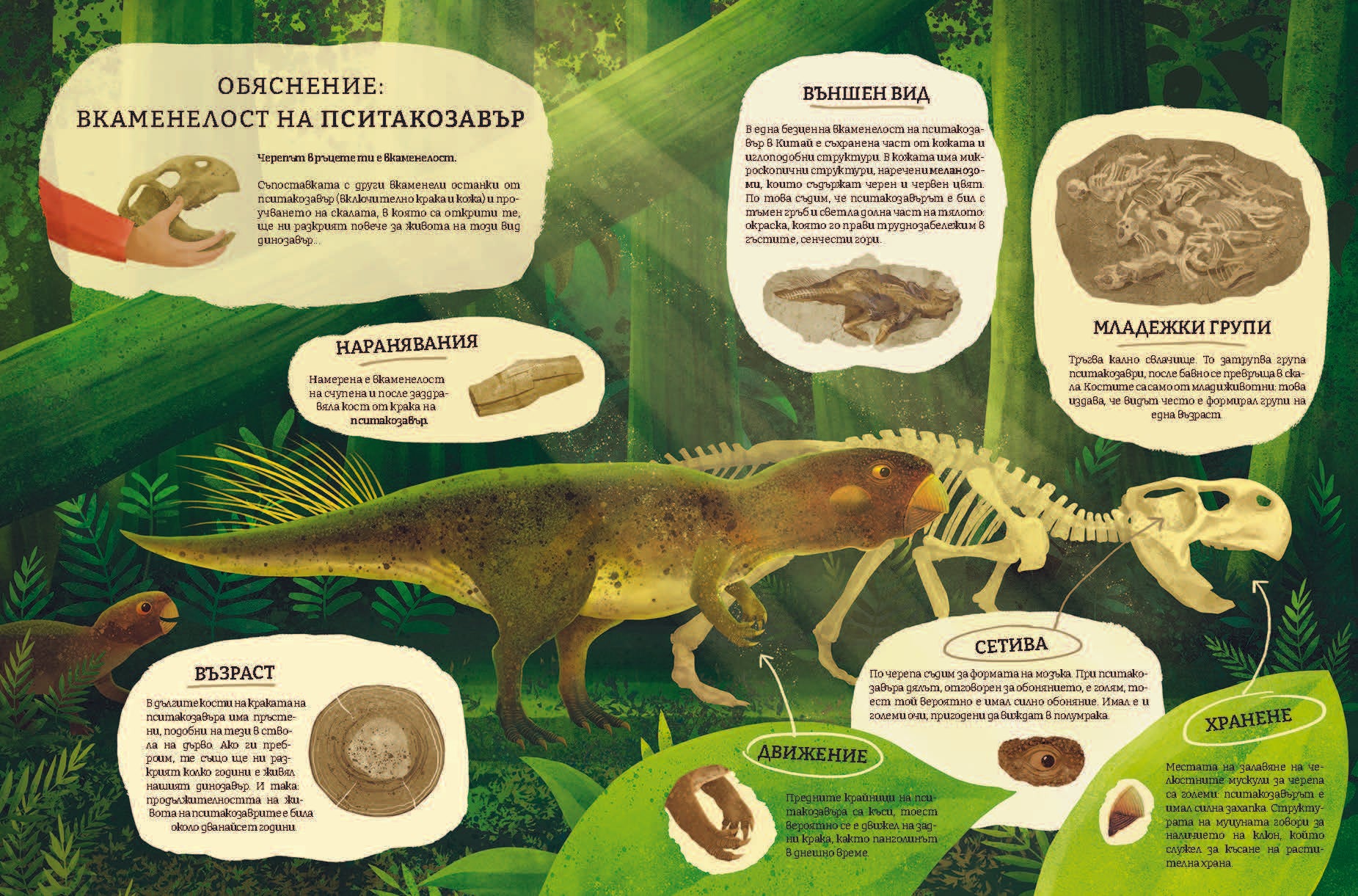 Миналото: Илюстрирано пътешествие в изгубените светове на Земята