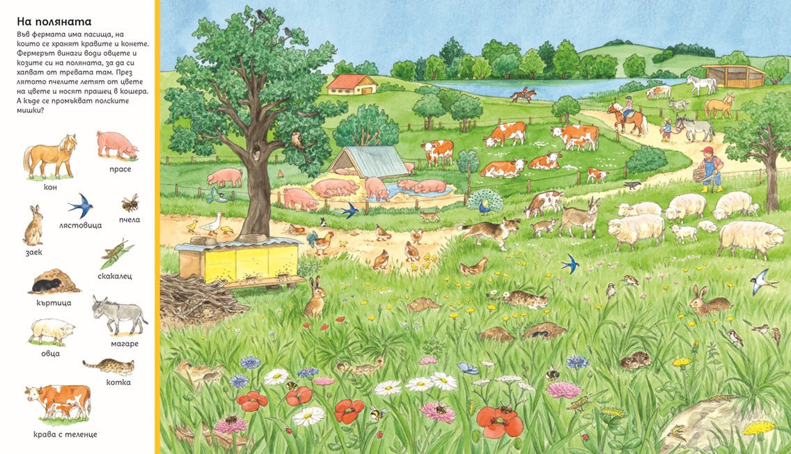 Търси и намери - Животните по света | Издателство Мармот | Детски книги