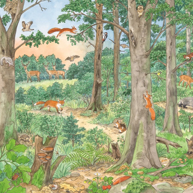 Търси и намери - Животните по света | Издателство Мармот | Детски книги