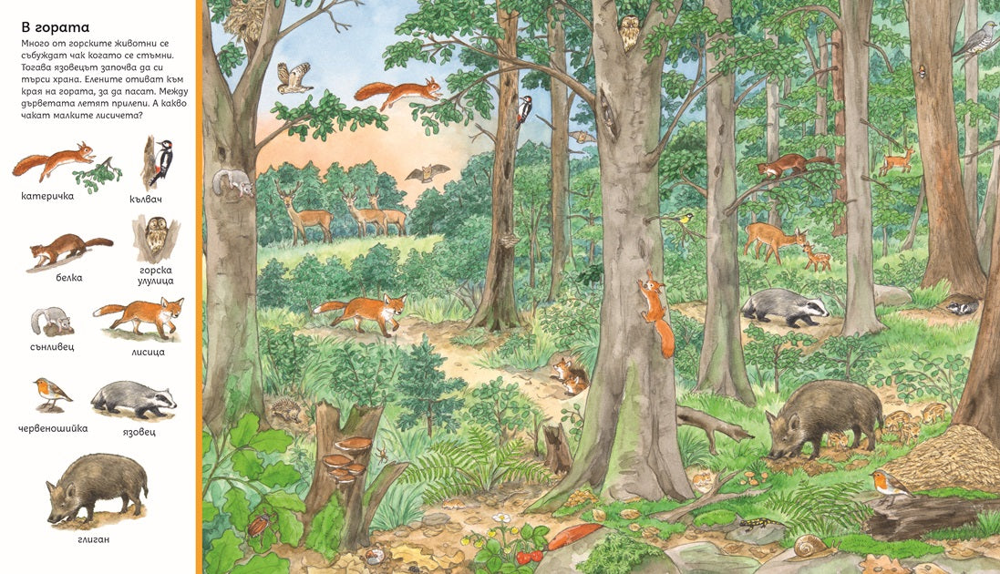 Търси и намери - Животните по света | Издателство Мармот | Детски книги