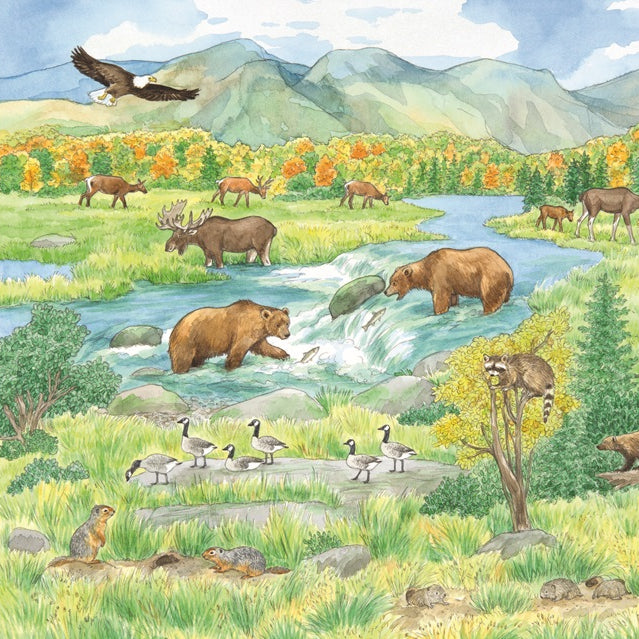 Търси и намери - Животните по света | Издателство Мармот | Детски книги