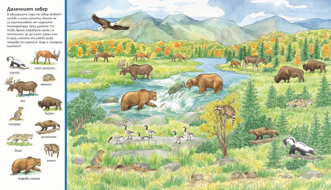 Търси и намери - Животните по света | Издателство Мармот | Детски книги