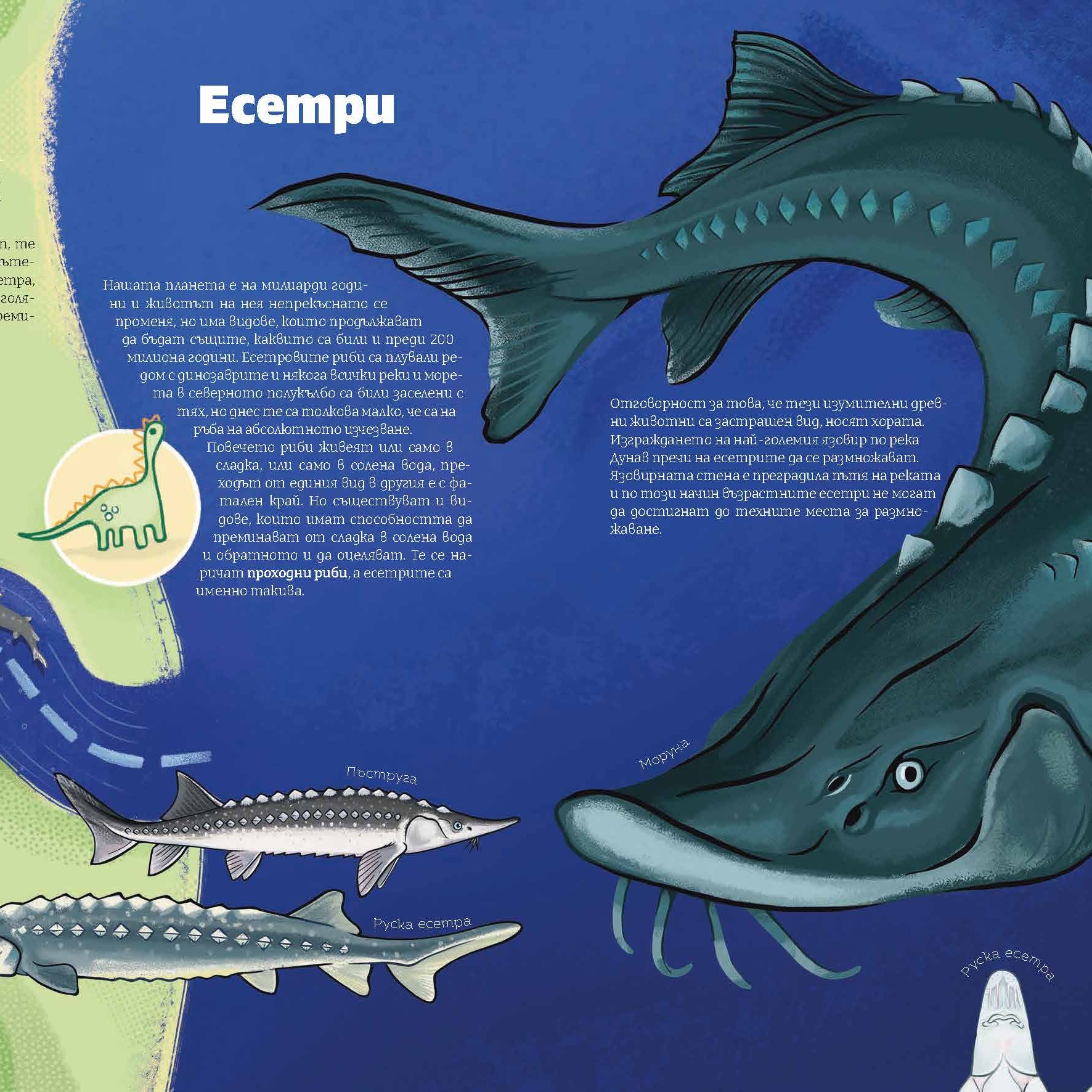 Черно море | Есетри | Александра Георгиева | Никола Кереков | Радимира Йорданова | Симеон Желев | Издателство Мармот | Детски книги