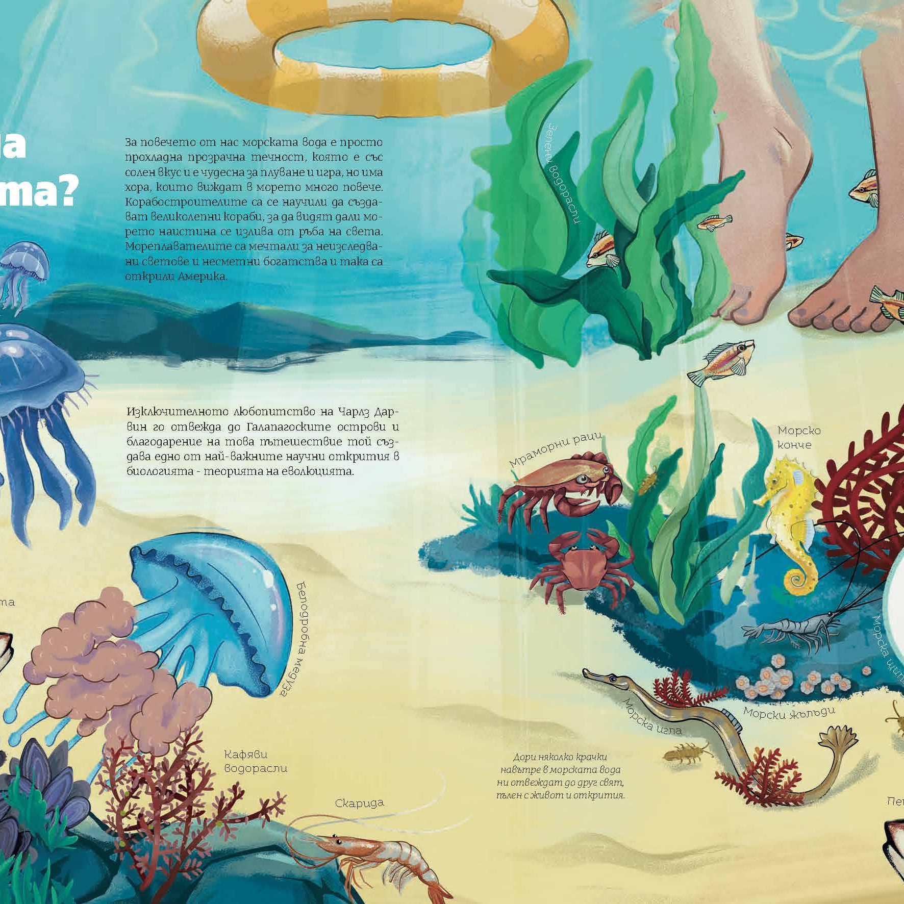 Черно море | Какво има във водата | Александра Георгиева | Никола Кереков | Радимира Йорданова | Симеон Желев | Издателство Мармот | Детски книги