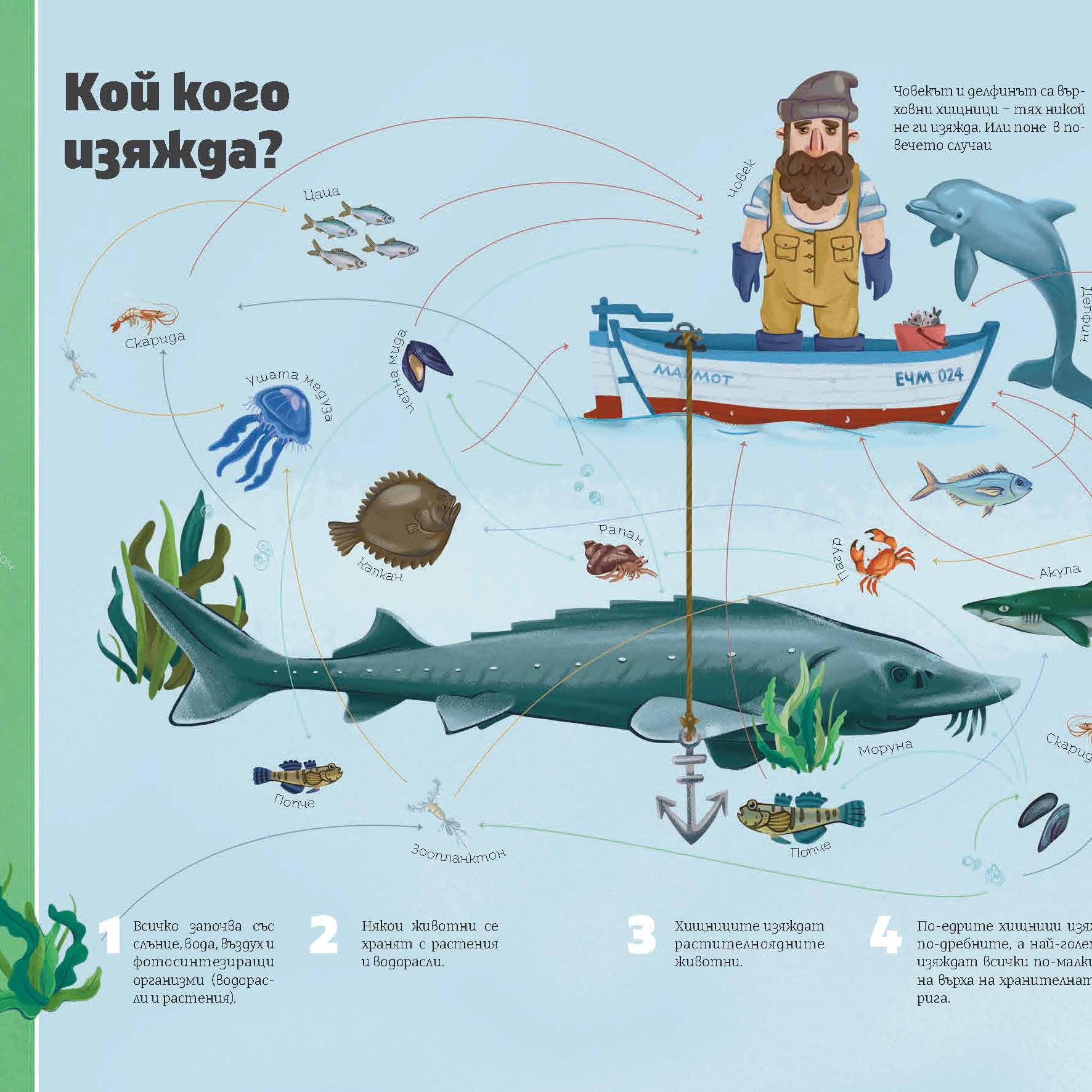 Черно море | Хранителна мрежа | Александра Георгиева | Никола Кереков | Радимира Йорданова | Симеон Желев | Издателство Мармот | Детски книги