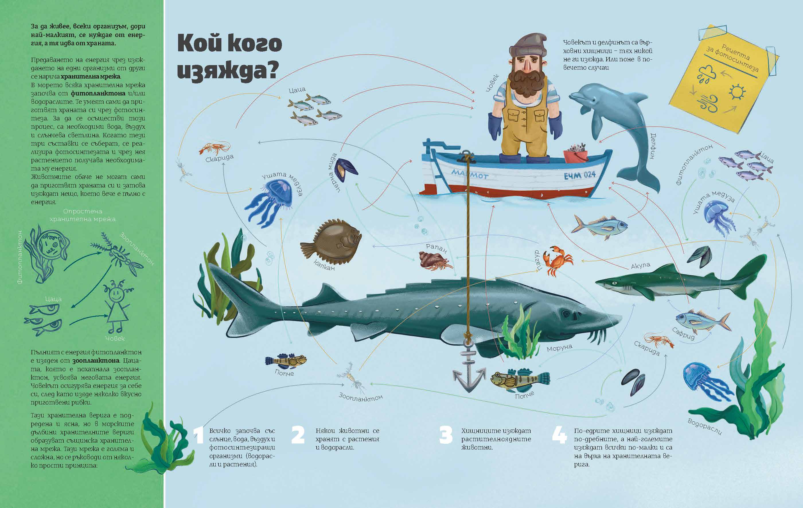 Черно море | Хранителна мрежа | Александра Георгиева | Никола Кереков | Радимира Йорданова | Симеон Желев | Издателство Мармот | Детски книги