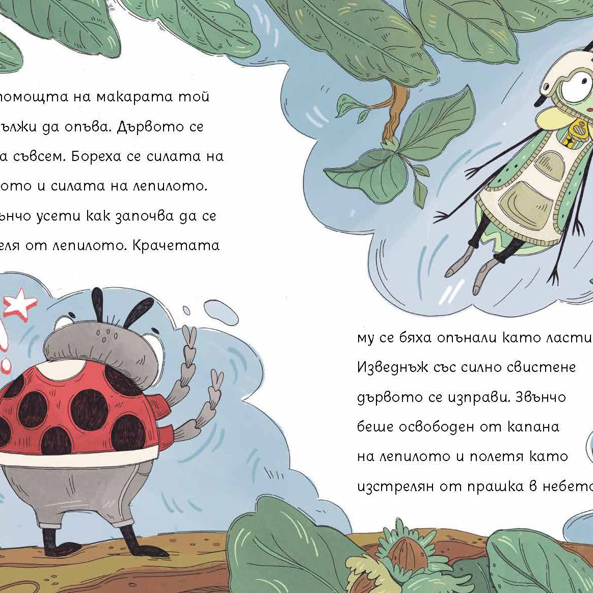 Бръмбар с цип и бръмбар с копче