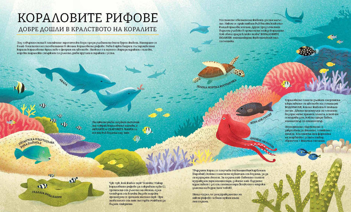 Синята планета II – разтвор 3