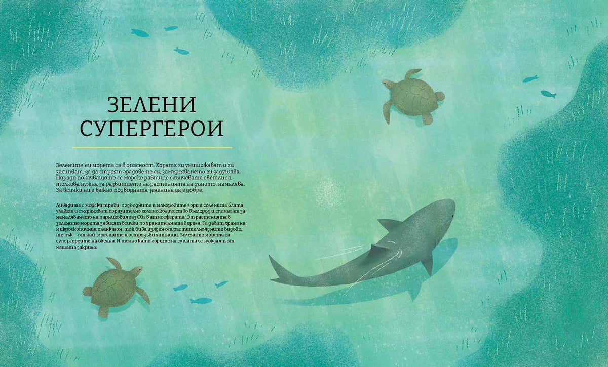 Синята планета II – разтвор 4