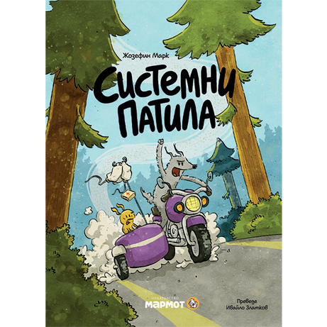 Системни патила
