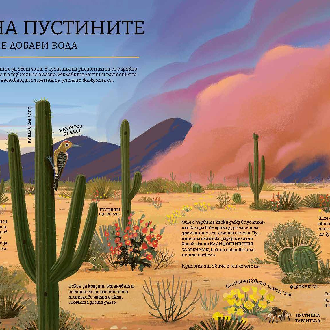 Зелената планета