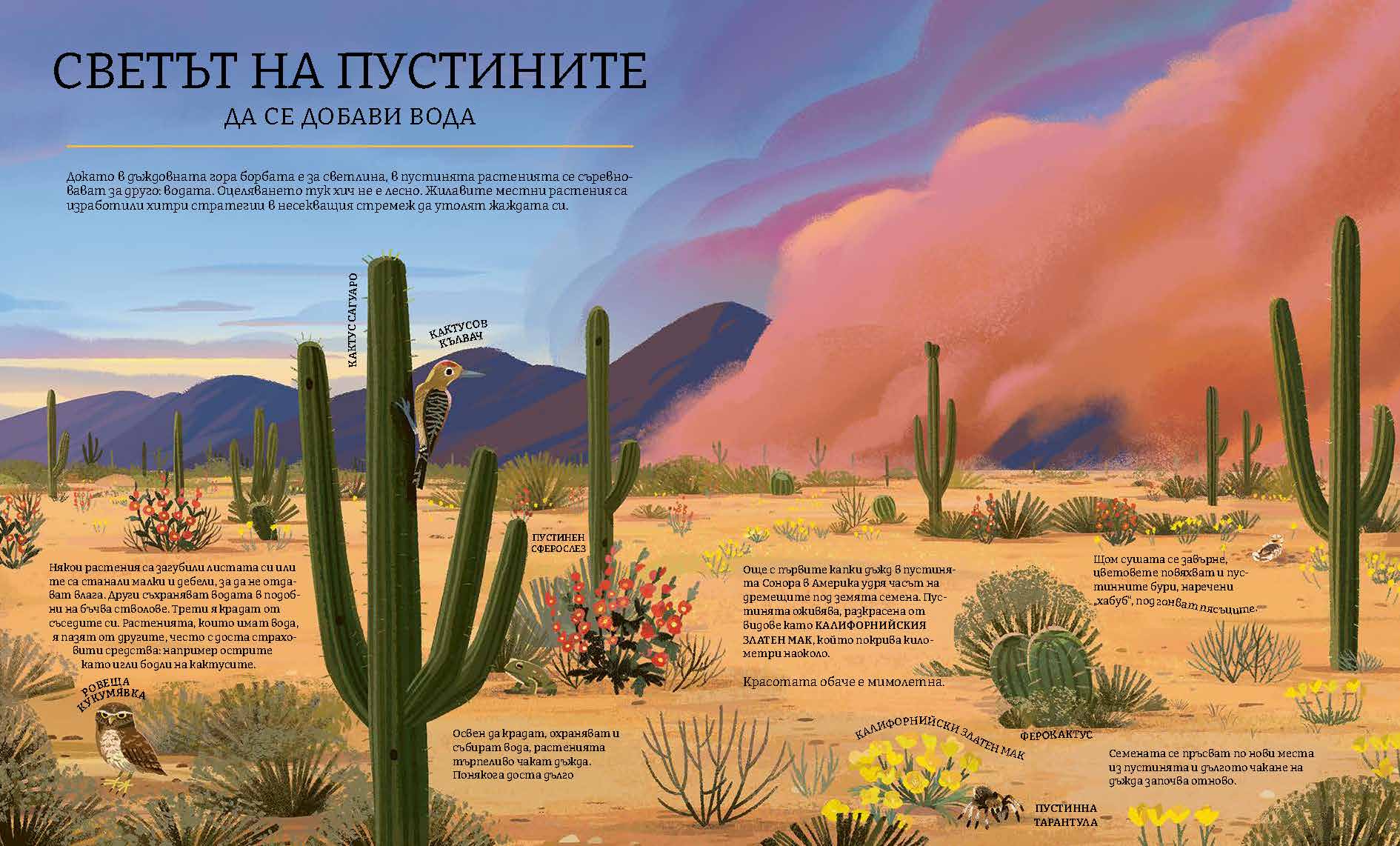 Зелената планета