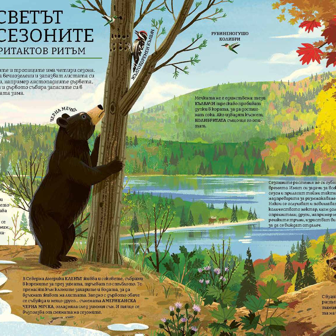 Зелената планета