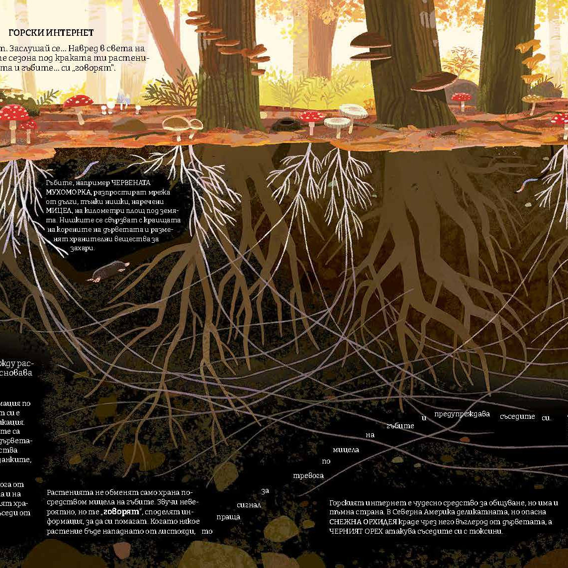 Зелената планета
