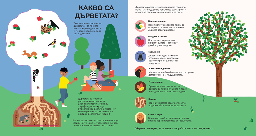 Книга за дърветата – разтвор 2