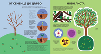 Разтвор 3