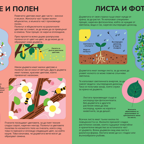 Книга за дърветата | Никола Кереков | Издателство Мармот