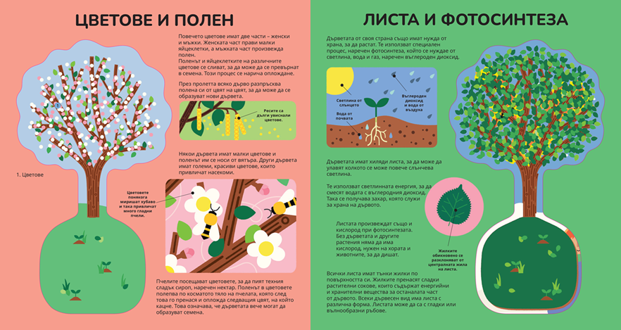 Книга за дърветата – разтвор 4