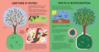 Разтвор 4