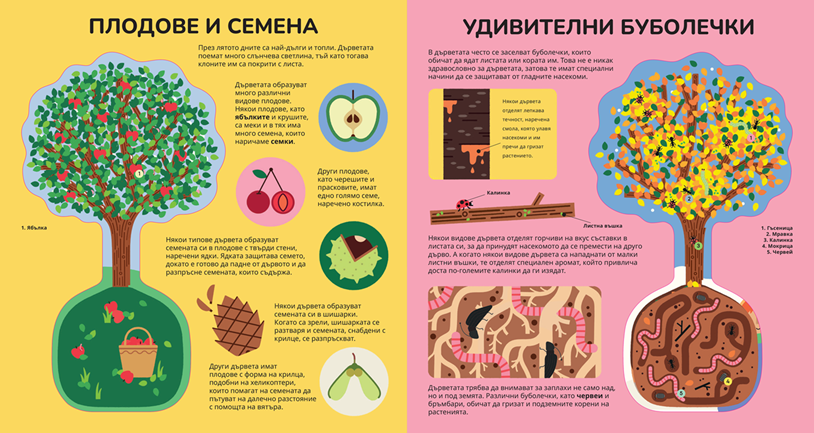 Книга за дърветата – разтвор 5