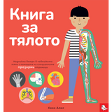 Корица