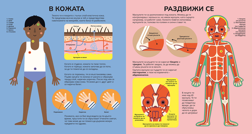 Книга за тялото – разтвор 3