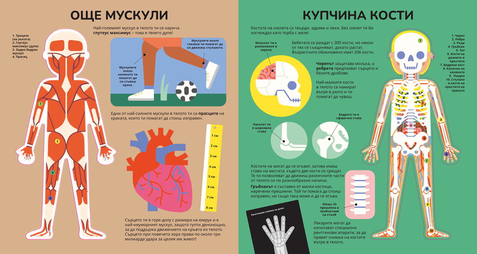 Книга за тялото – разтвор 4