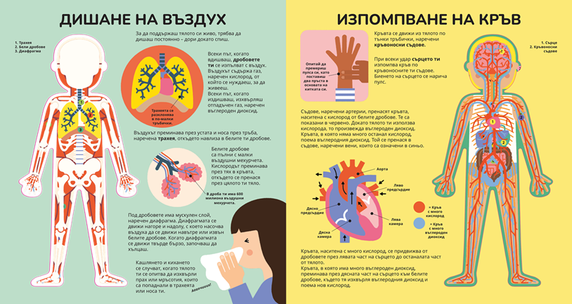 Книга за тялото – разтвор 5