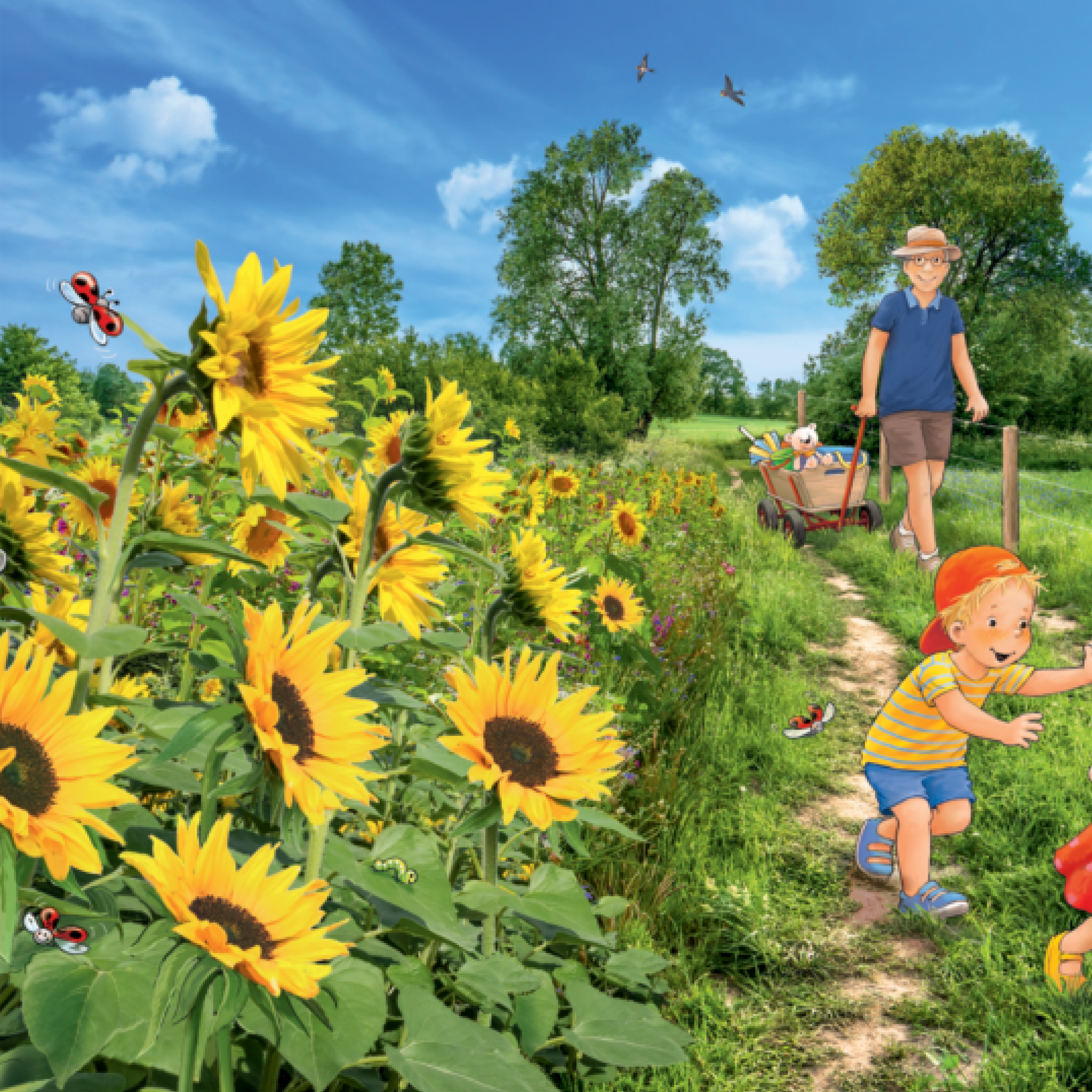 Лота открива света – комплект