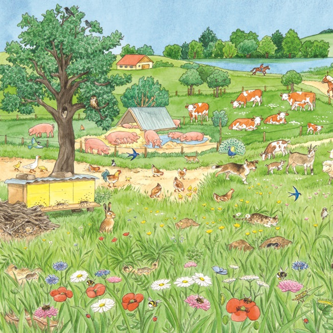 Търси и намери - Животните по света | Издателство Мармот | Детски книги