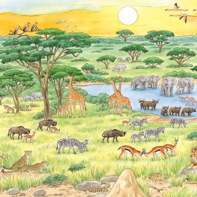 Търси и намери - Животните по света | Издателство Мармот | Детски книги