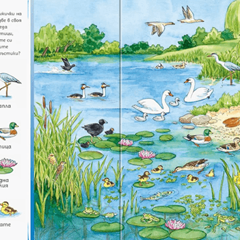 Търси и намери - При животните | Издателство Мармот | Детски книги