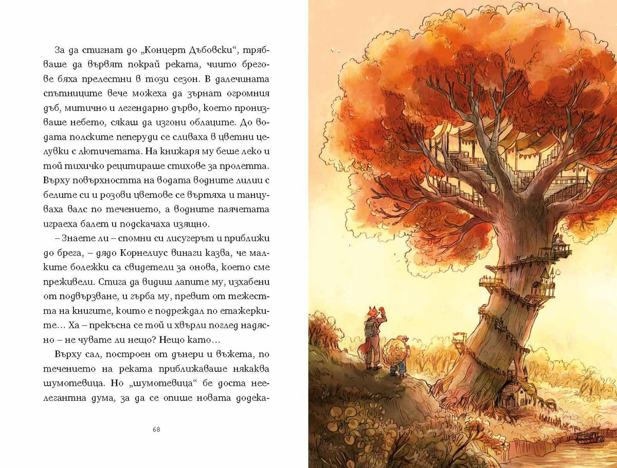 Спомени от гората – разтвор 5