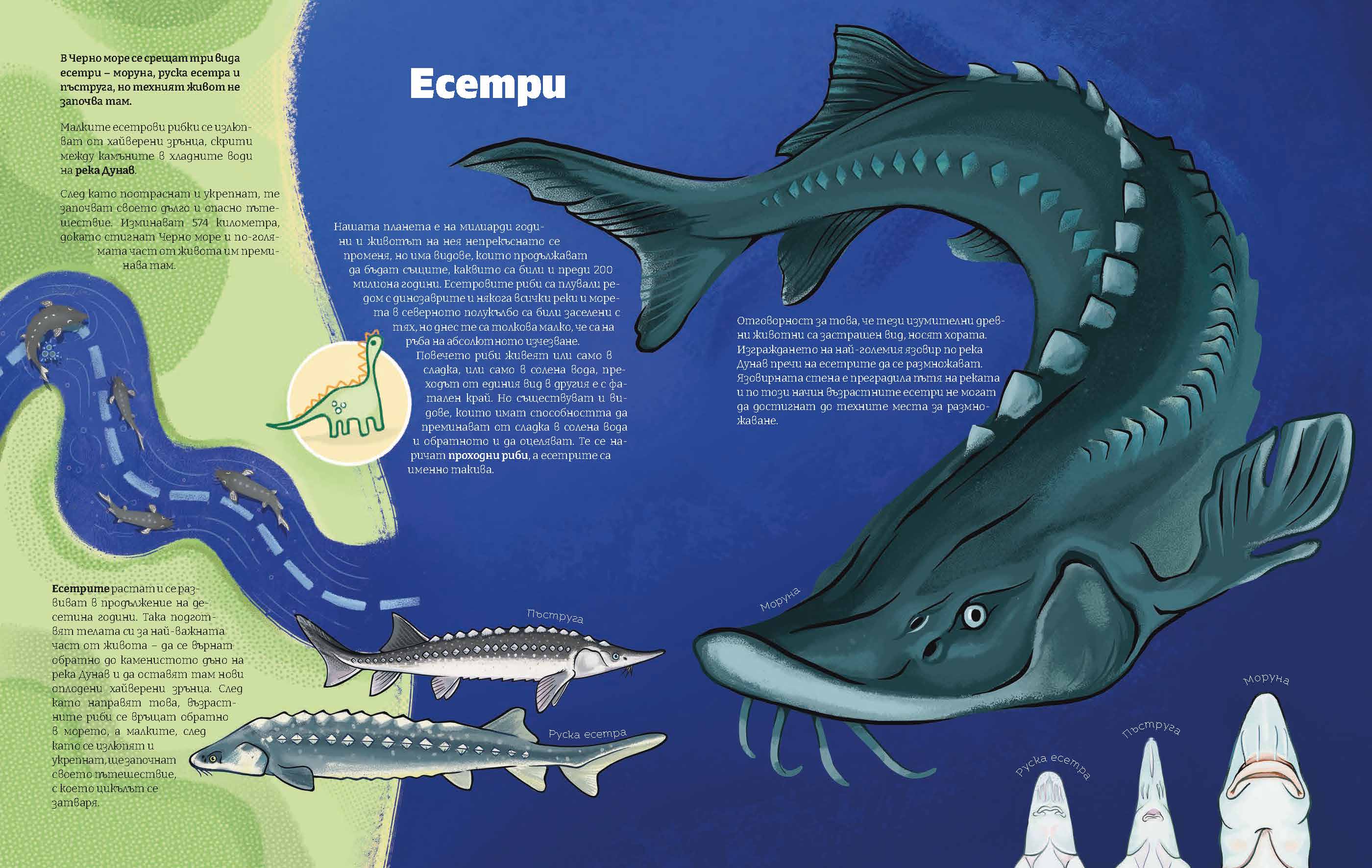 Черно море | Есетри | Александра Георгиева | Никола Кереков | Радимира Йорданова | Симеон Желев | Издателство Мармот | Детски книги