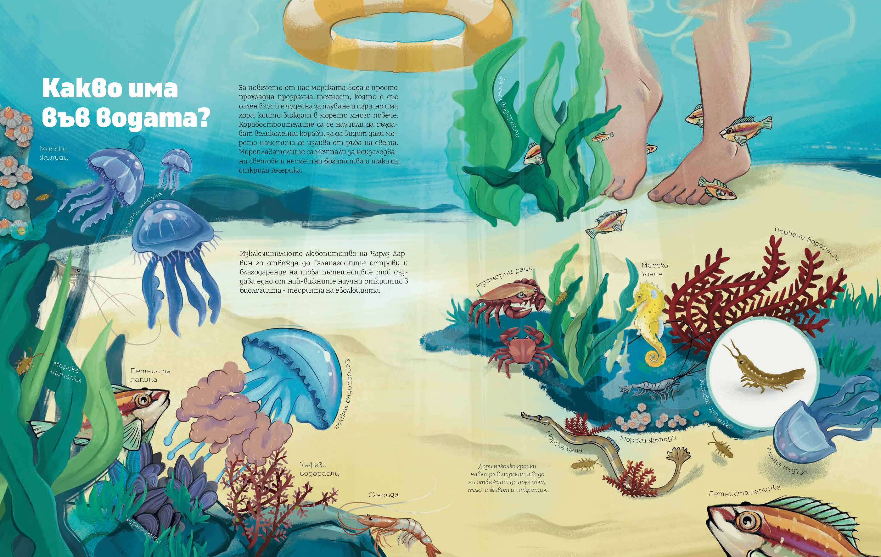Черно море | Какво има във водата | Александра Георгиева | Никола Кереков | Радимира Йорданова | Симеон Желев | Издателство Мармот | Детски книги