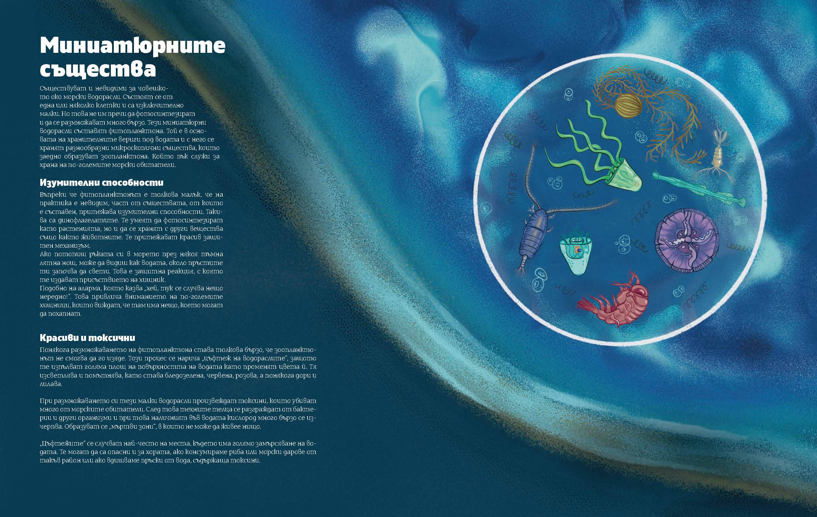 Черно море | Миниатюрни същества | Александра Георгиева | Никола Кереков | Радимира Йорданова | Симеон Желев | Издателство Мармот | Детски книги