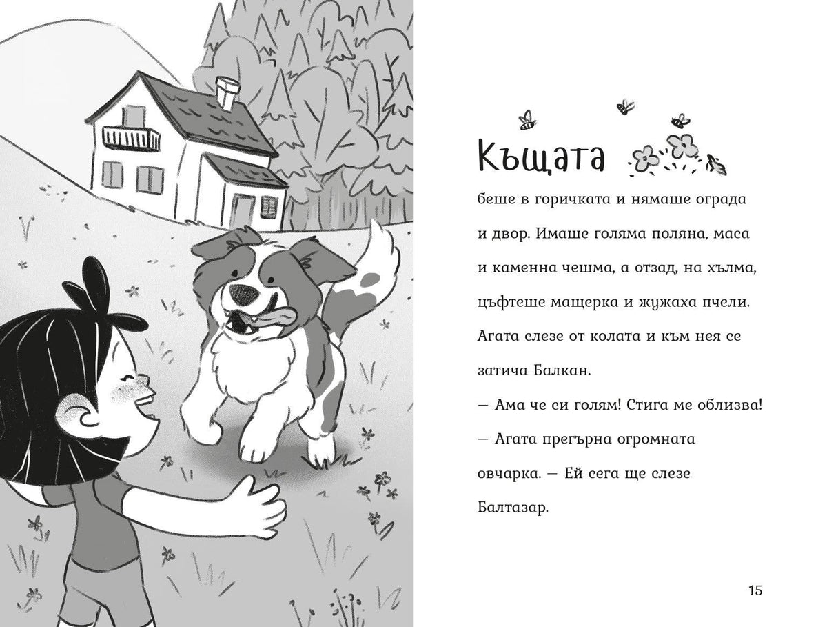 Агата - Мисия Чист плаж (Книга 11) – разтвор 2